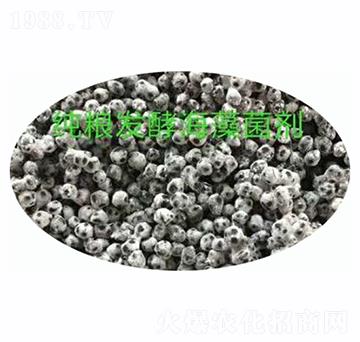 ���Z�l(f��)�ͺ������-ʩ����