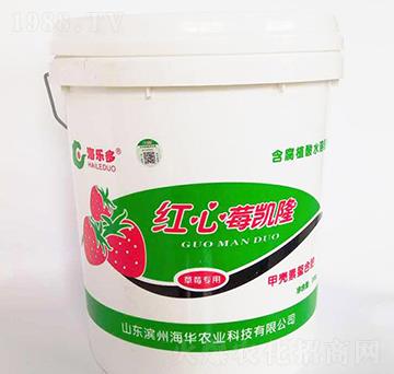 �t��ݮ�P�����_ʩ�ͣ�-���A�r(n��ng)�I(y��)