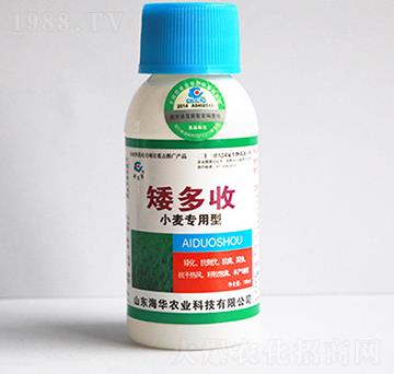 С�����ð�����-���A�r(n��ng)�I(y��)