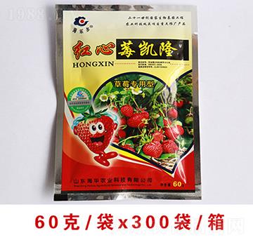 �t��ݮ�P������ʩ��-���A�r(n��ng)�I(y��)