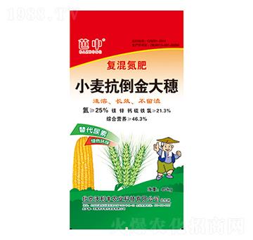 小麥抗倒金大穗-芭中農(nóng)業(yè)