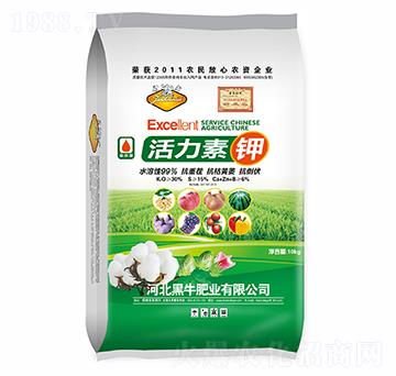 �������-��ţ�ʘI(y��)