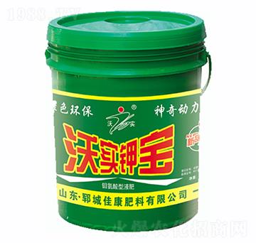 �֌�(sh��)⛌�-�ѿ�