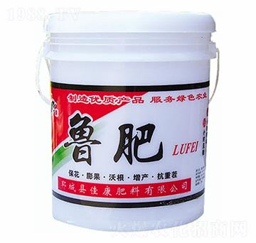 ����-�ѿ�