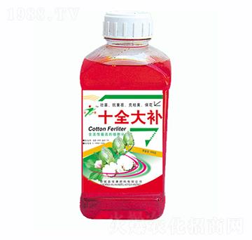 �޻�ʮȫ���a(b��)-�ѿ�