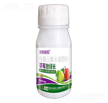 ��ݮ�žG�L-Ӣ�A����-��˴ֲ��