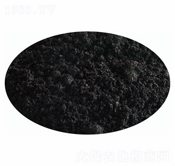 ԭ�϶�����-�|�ξ�