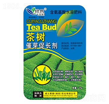 ����ѿ���L(zh��ng)��-�G��-��ʿ�R��