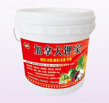 加拿大鉀寶-瑞農(nóng)化工