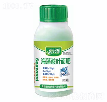 �������~���-���ᭇ