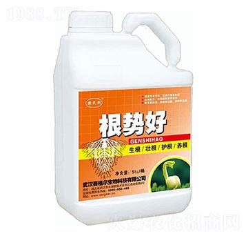 ���ݺ�-ِ��