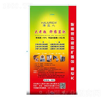 ���ϴ��w�S����-������