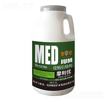 促梢引導(dǎo)劑-英朗特