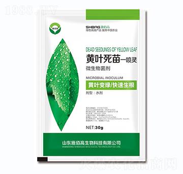 ΢�������-�S�~����һ���`-ʩ�۸�