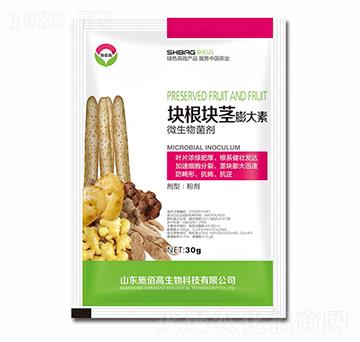 ΢�������-�K���K�o�����-ʩ�۸�