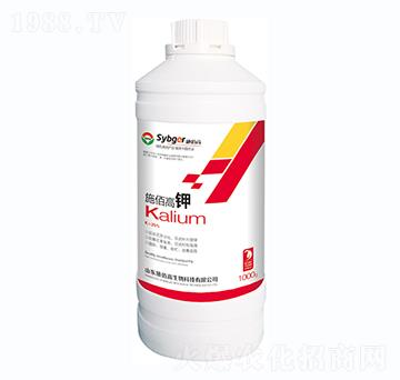 1000gʩ�۸��-ʩ�۸�