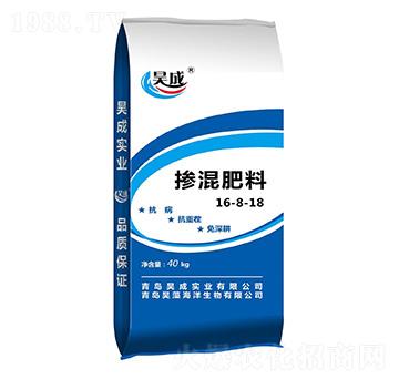 ���哽�����16-8-18-껳Ɍ��I(y��)