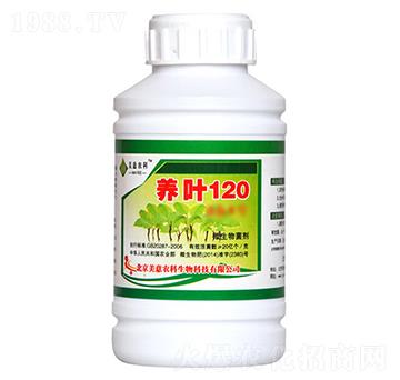 ΢�������-�B(y��ng)�~120-�����r(n��ng)��