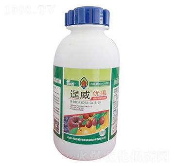 �������(l��i)�~���-������(y��u)