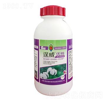 �������(l��i)�~���-������(y��u)