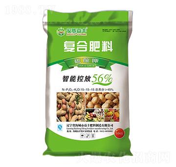 ����⛏�(f��)�Ϸ���15-15-15-�������S-���S