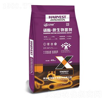 ̼ø��΢�������-ʩؐ��-��ʢ