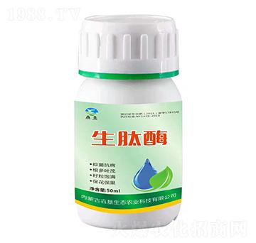 ����ø-�������B(t��i)