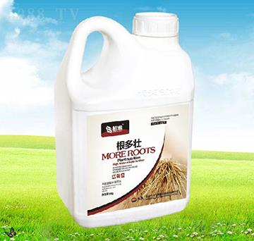 ������-������