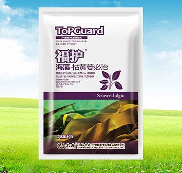 ������Sή����-���o-����