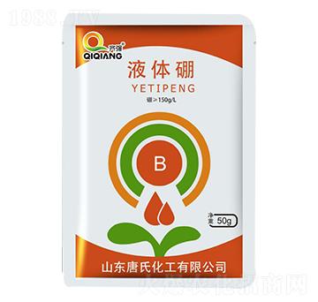 ���w��-���ϻ���