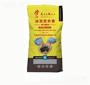 �����I(y��ng)�B(y��ng)��-���ϻ���