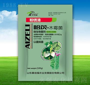 ���ġ�ľù��-���P��-�μѸ�