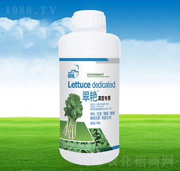 ���G�n�Č���-�μѸ�