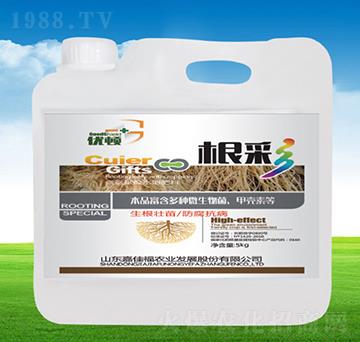 根彩-優(yōu)頓-嘉佳福