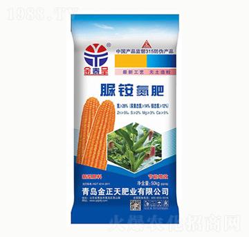 ���@����-������ʘI(y��)