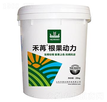 ���ۡ���������-��������