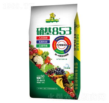 ����853���ܷ�21-8-10-���Sţ-�P�����d