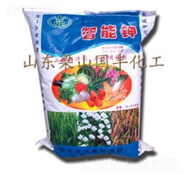 �߼��������-���S�ʘI(y��)