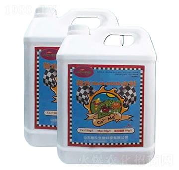 �������w�}�V�τ�-�ؾ�����