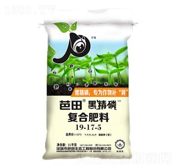 �ͺϷ���19-17-5-����ھ���-����