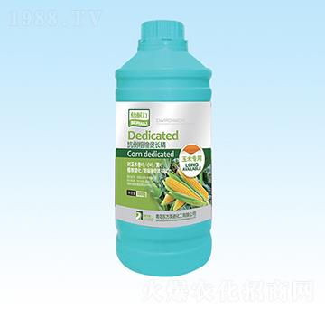 ���׌��ÿ����ֿs���L(zh��ng)��-�|��Ӣ�Z