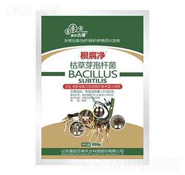 �ݲ�ѿ�ߗU��-������-�|��Ӣ�Z