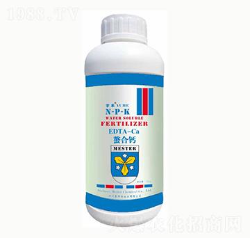 ��������}-㑝�����