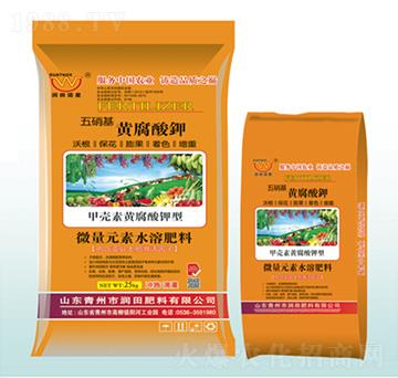 �������S����⛛_ʩ��-