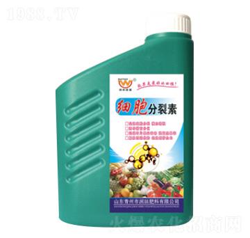 ����������-�������