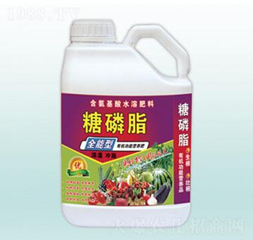 ����֬-�������