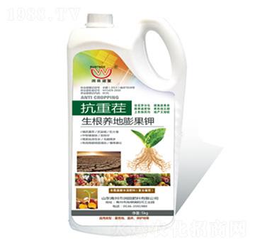 ���ز�-�����B(y��ng)������