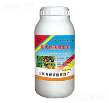 �����䱣����-�����