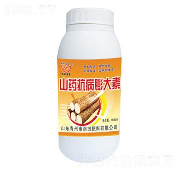 ɽˎ���������-�����