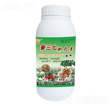 �����������-�������